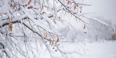 МЧС предупреждает об аномальных морозах в Москве с 23 по 28 февраля