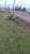 картинка Рулонный газон спортивный от компании Дорожный эксперт