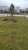 картинка Рулонный газон премиум от компании Дорожный эксперт